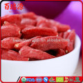 Bagas de goji Berry som em chinês repleto em plenitude carnuda hindi em massa